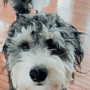 Meet your Posher, Madelyn